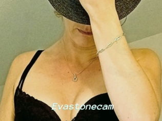 Evastonecam
