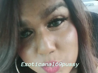 Exoticanal69pussy