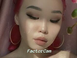 FactorCam