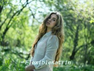 FlexibleKatrin