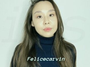 Felicecarvin