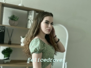 Felicedrover