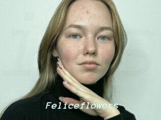 Feliceflowers