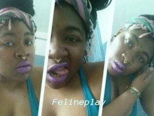 Felineplay