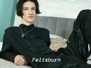 Felixburn