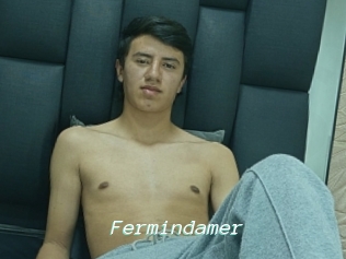 Fermindamer