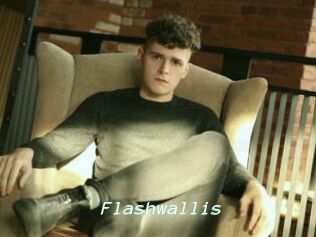Flashwallis