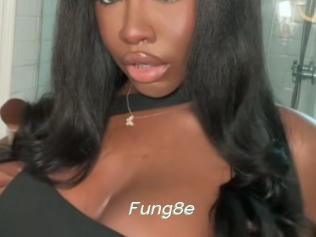 Fung8e