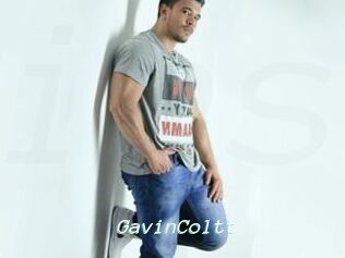 GavinColtt