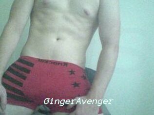 GingerAvenger