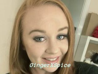 GingerXSpice