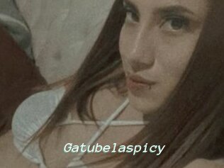 Gatubelaspicy