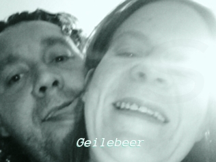 Geilebeer