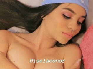 Giselaconor