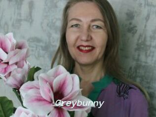 Greybunny