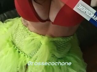 Grossecochone