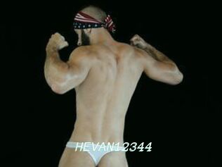 HEVAN12344