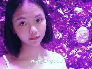 Haijingbao