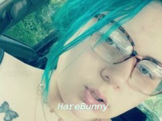 HareBunny