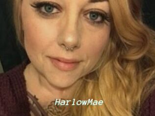 Harlow_Mae