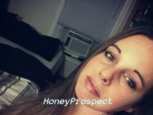 HoneyProspect