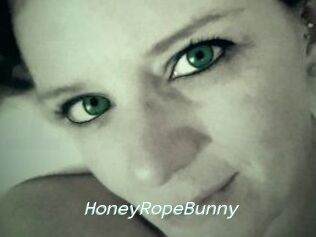 HoneyRopeBunny