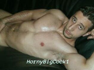 HornyBigCock1