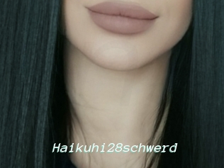 Haikuhi28schwerd