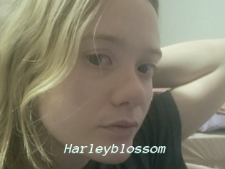Harleyblossom