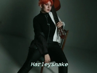 Harleysnake