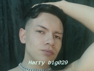 Harry_big029