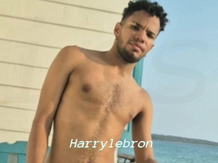 Harrylebron