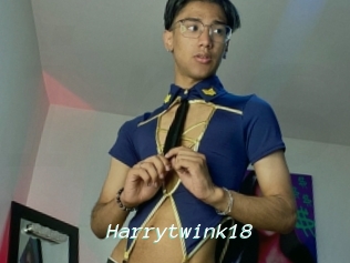Harrytwink18