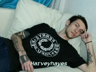Harveyhayes