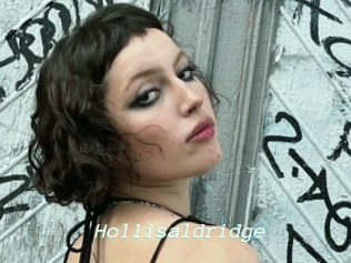 Hollisaldridge