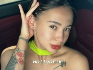 Hollybrik