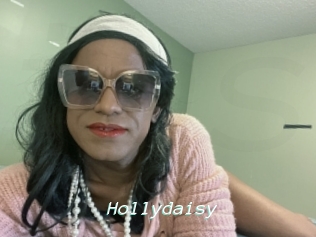 Hollydaisy