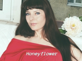 Honeyflower