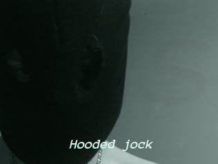 Hooded_jock