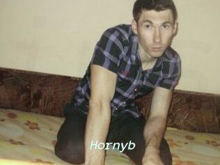 Hornyb