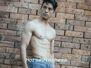 Horse9inchesz