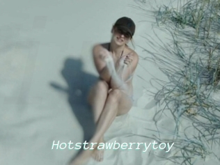 Hotstrawberrytoy