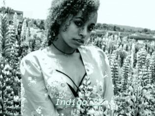 Indigo_22