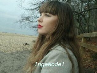 IngeModel