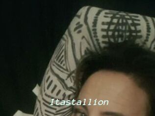 Itastallion