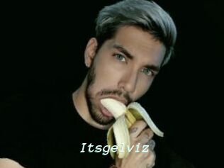 Itsgelviz