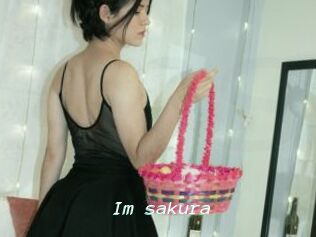 Im_sakura