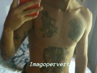 Imagopervert
