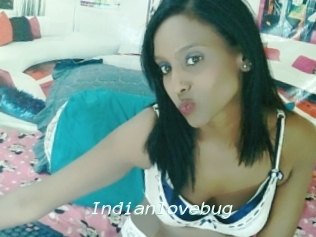 Indianlovebug