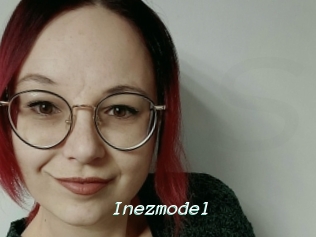 Inezmodel